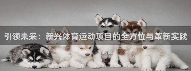 so米体育app手机版下载安装