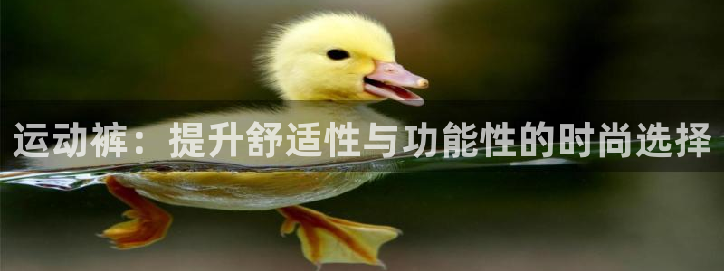 so米体育直