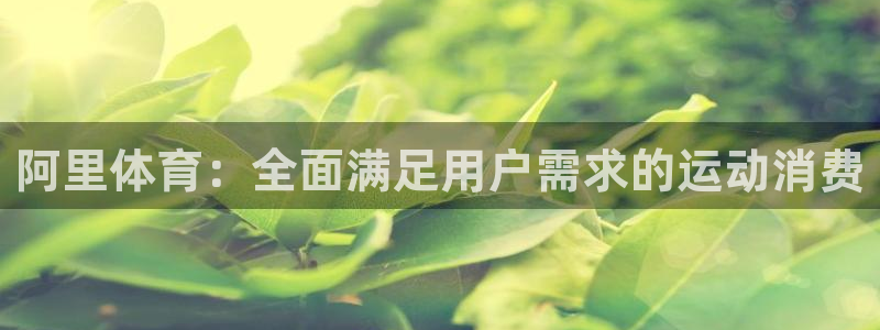 so米体育安卓版下载：阿里体育：全面满足用户需求的运动消费