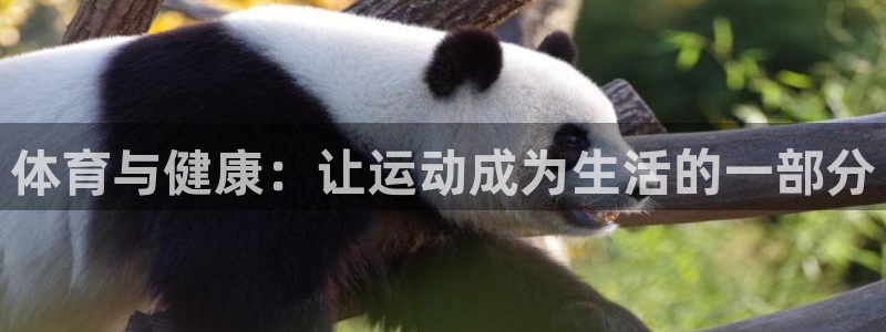 so米NBA常规赛：体育与健康：让运动成为生活的一部分