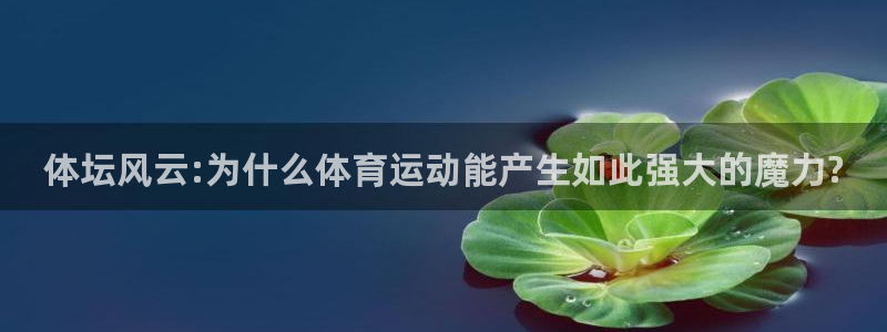 so米体育app下载：体坛风云:为什么体育运动能产生如此强大的魔力?